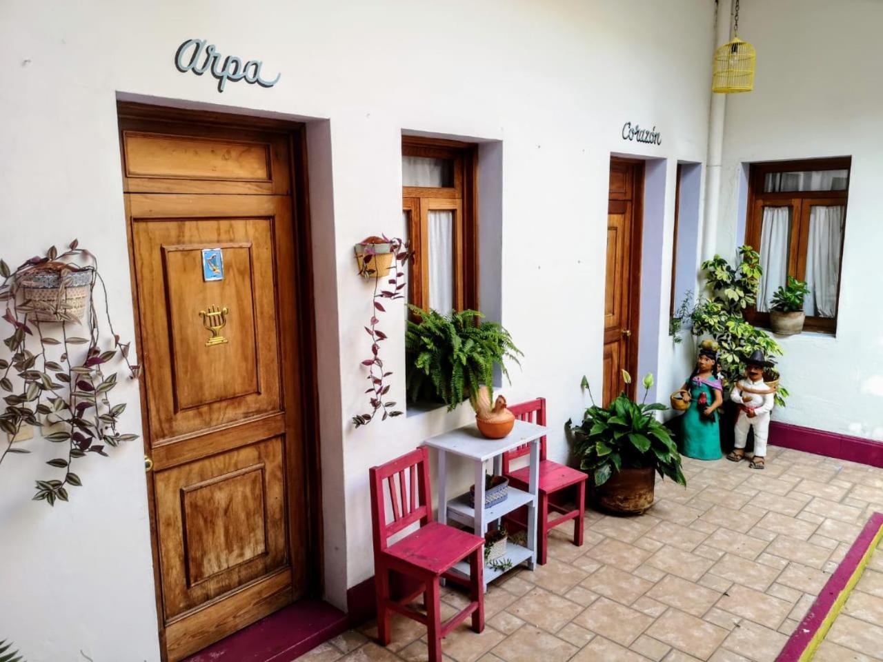 El Diablo Y La Sandia B&B Oaxaca Kültér fotó